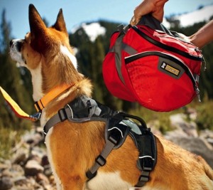 Ruffwear Dog Packs » Petagadget