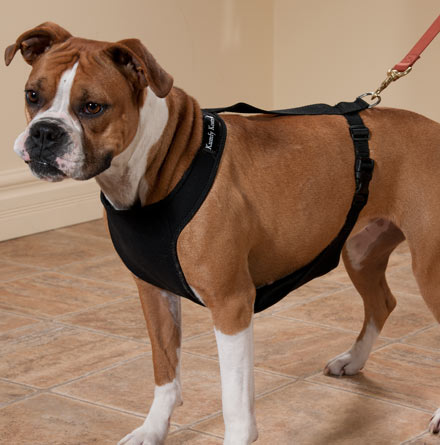 Warming/Cooling Dog Harness