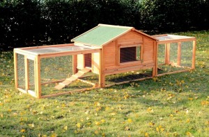 Rabbit Hutch » Petagadget