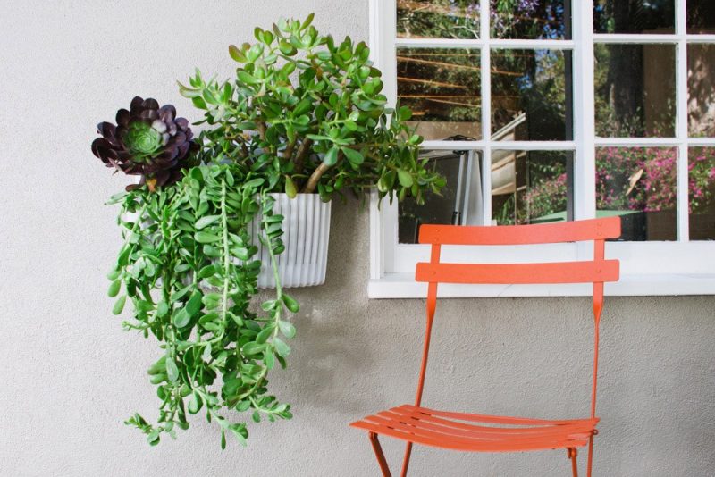 Top Living Wall Planter 14in  Learn more here 