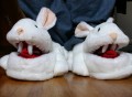 monty python bunny slippers