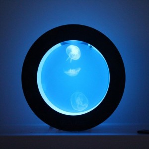 Orbit 20 Jellyfish Aquarium » Petagadget