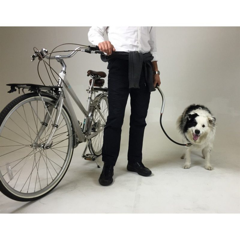 bike seat leash