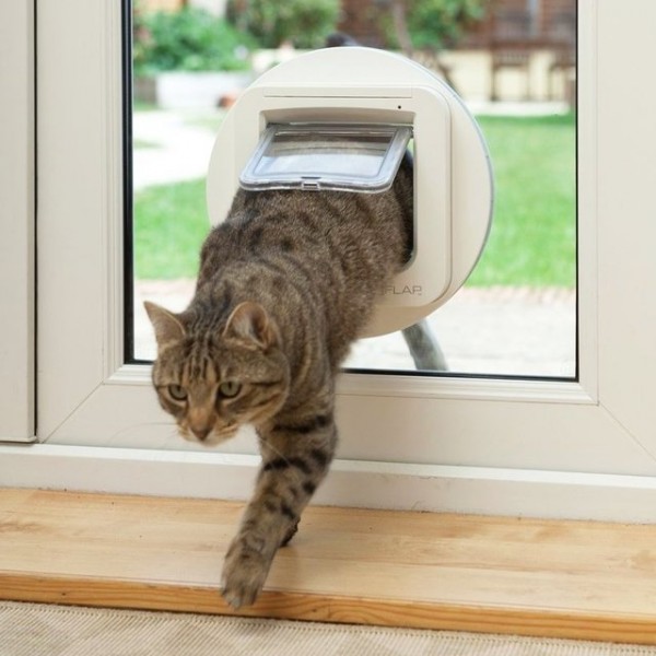 SureFlap Microchip Pet Door » Petagadget