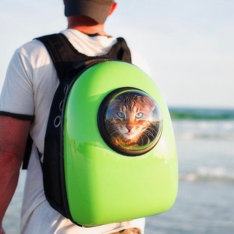 animal bubble backpack