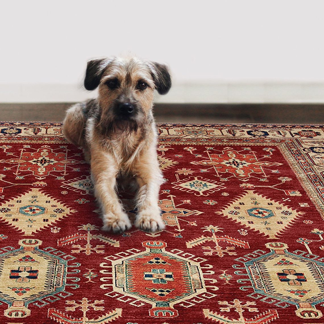 Ruggable Washable Rug » Petagadget