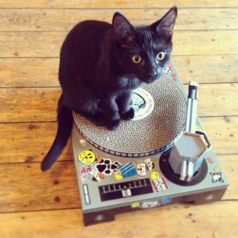 turntable cat scratcher