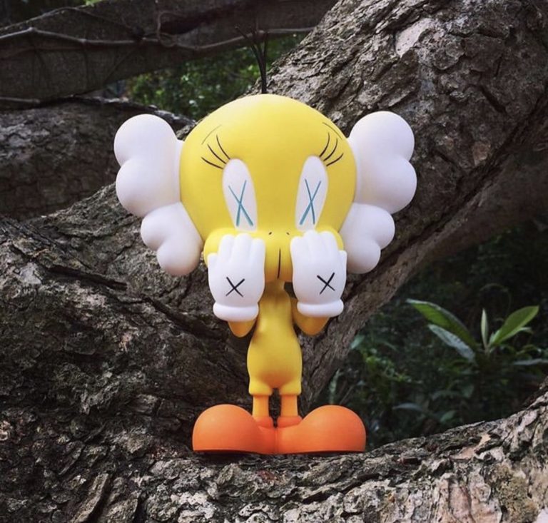 kaws bird