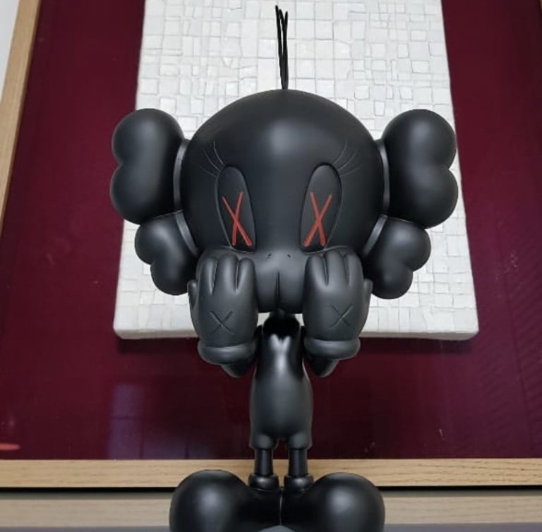 kaws bird