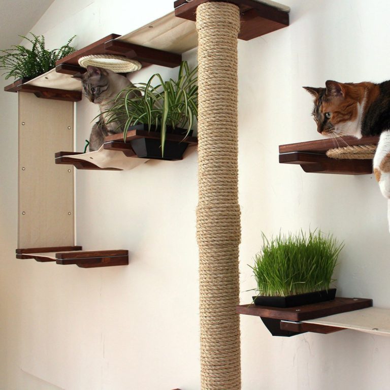 The Cat Mod Gardens Complex » Petagadget