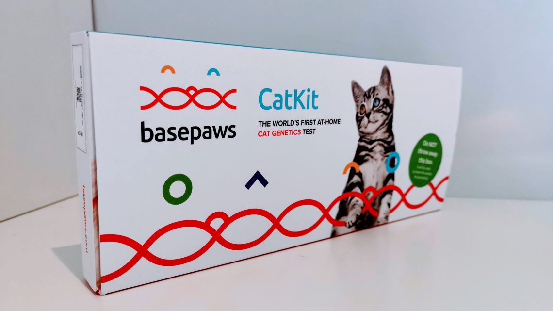 Basepaws Cat DNA Test Kit » Petagadget