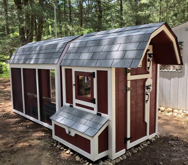 Gambrel Predator Proof Chicken Coop with enclosure » Petagadget