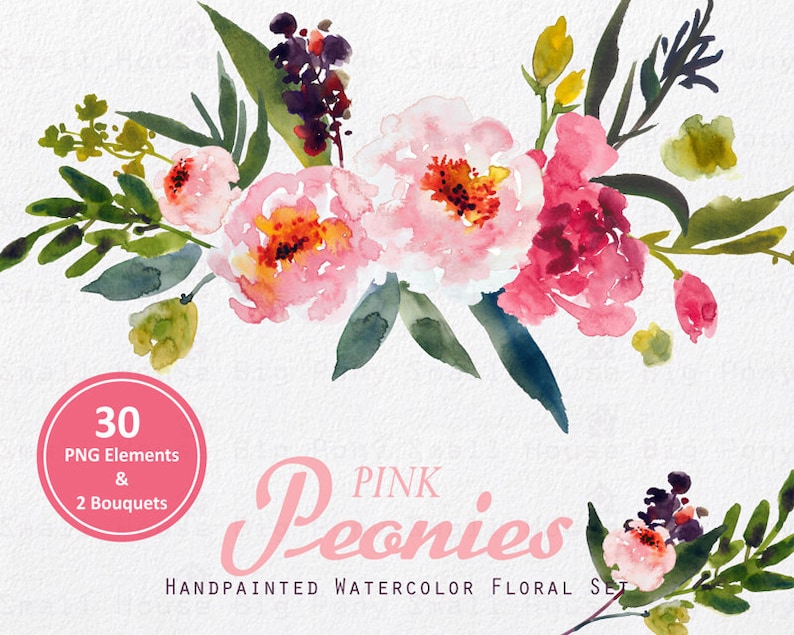 Digital Clipart Watercolor Flower Clipart peonies Clip art » Petagadget