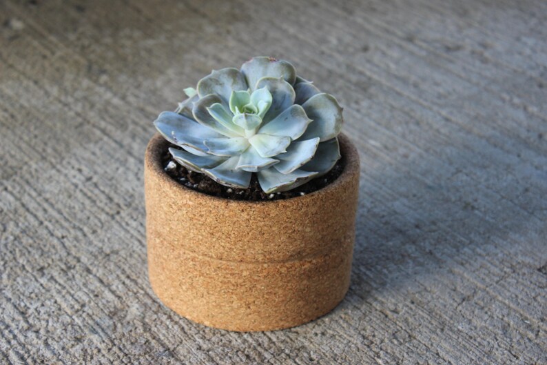 cork mats for planters        
        <figure class=