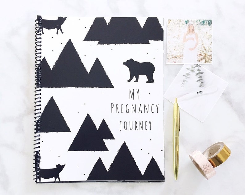 pregnancy journal book