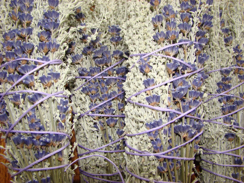Smudge Bundle Sage and Lavender  Hemp Twine Smudge Stick