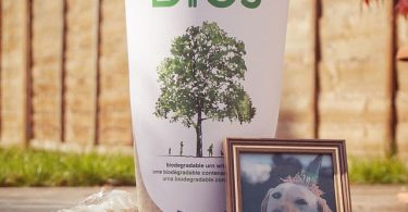 Biodegradable Pet Urn Tree Kit