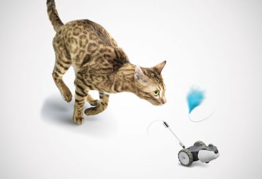 Mousr Interactive Robotic Cat Toy